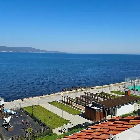 хоризонт Daire