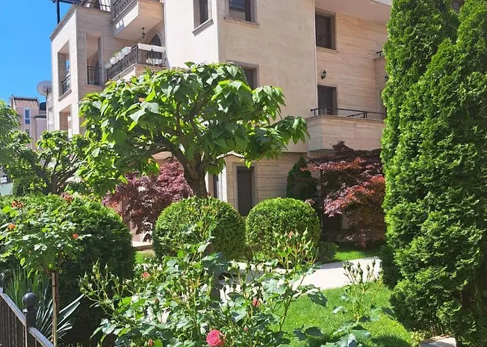 амара б3 студия ساني بيتش